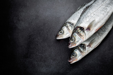 fish
