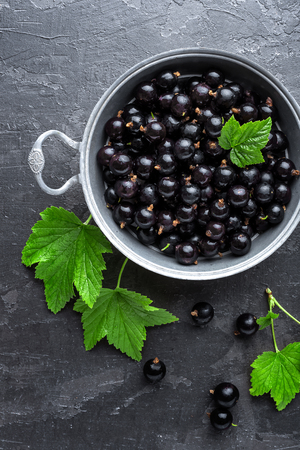 Blackcurrant berries with leaves, black currantの写真素材
