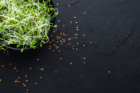 Healthy vegetarian bowl dish with fresh flaxseed sprouts. Plate with raw linseed sprouts salad....