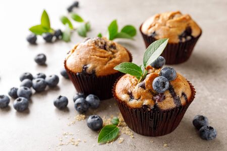 Blueberry muffins with fresh berriesの写真素材