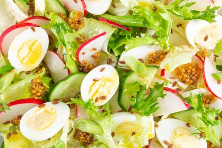 Fresh vegetable salad with cucumber, radish, lettuce and boiled eggs. Helathy food. Top view. Flat layの写真素材