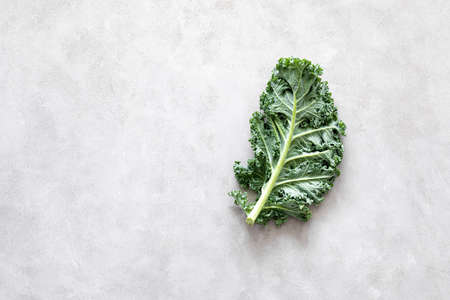 Fresh kale curly leaves, superfoodの写真素材
