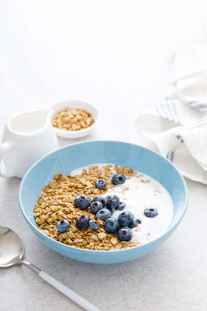Granola with yogurt and blueberryの写真素材