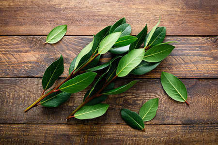 Green bay leaves on wooden background. Laurel leaf. Bay laurel leavesの写真素材