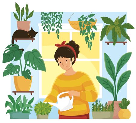 Young woman watering plants in an indoor home gardenのイラスト素材