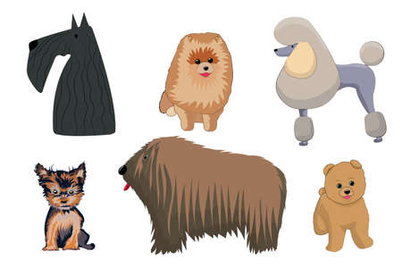 Set of dogs isolated on white background. Vector illustration of cartoon pets.のイラスト素材