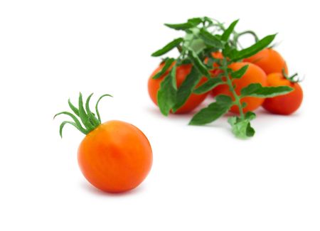 Beautiful fresh tomato and branch with tomatoes on a backgroundの写真素材