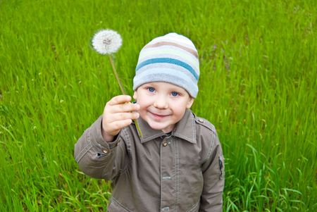 The boy with a dandelion on a green lawnの写真素材