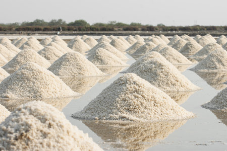 A lot of table salt in the salt fields of Thailand.の写真素材