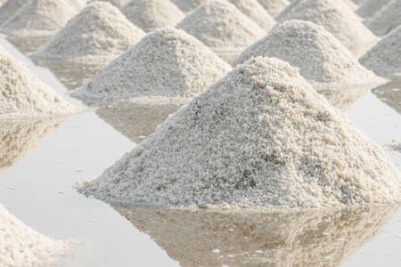 A lot of table salt in the salt fields of Thailand.
