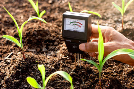 Soil meter is used on loam for planting, Measure soil acidity.の写真素材