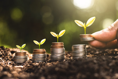 The seedlings are growing on the coins, thinking about financial growth.の写真素材
