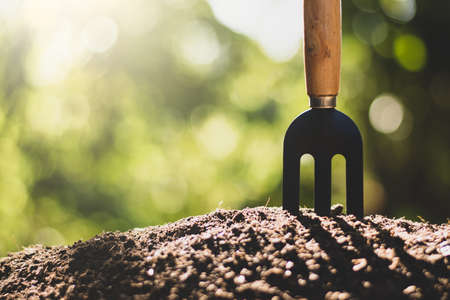 Harvesting is on the ground and morning sunshine is shining, the concept of agriculture and cultivation.の写真素材