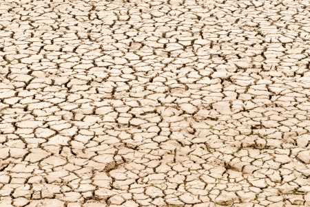 Cracked earth because of a dry climateの写真素材