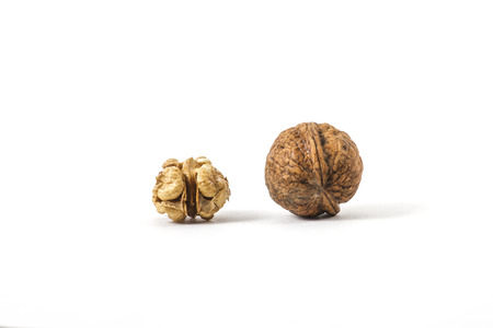 isolated  shelled walnuts  Evolution concept 
