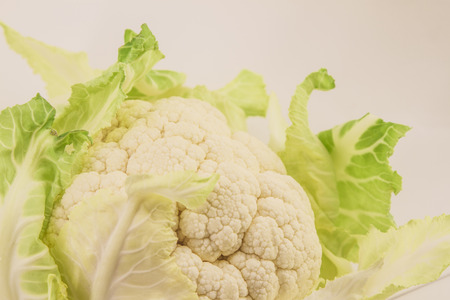  macro cauliflowerの写真素材