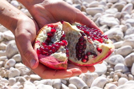 Part of pomegranate fruit in the hand. Organic fresh juicy productの写真素材