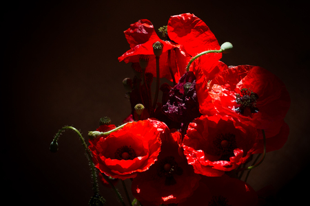 Bouquet of poppies. Red flowers sign of remembrance dayの写真素材