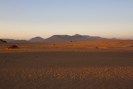 Slope hill sand on yellow dunes on blue sky background. Sunrise, morning. Sustainable ecosystem. Canary island, Fuerteventuraの写真素材
