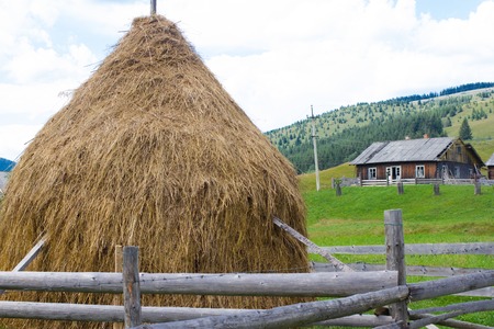 Haystack on background of deciduous forests and fields and grass. Village in Carpathians ecosystemの写真素材