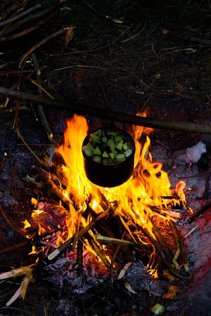 Metal utensils. Cooking pot. Firewood, fever. Adventureの写真素材