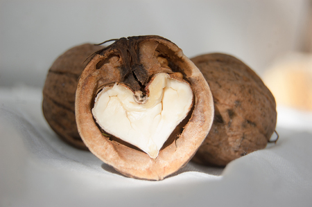 Heart shaped walnut. Valentines day celebration. Love concept. Color toned