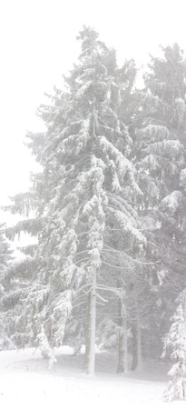 Winter landscape in the forest. Retro stile. Frozen scenic background