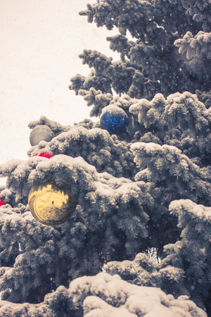 Closeup of Christmas tree background. Fir branchの写真素材