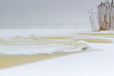 Winter landscape. Composition of nature. Reed plant on iceの写真素材