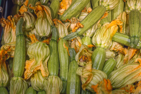 Close up of fresh courgettes or zucchini with flowers. Spainの写真素材