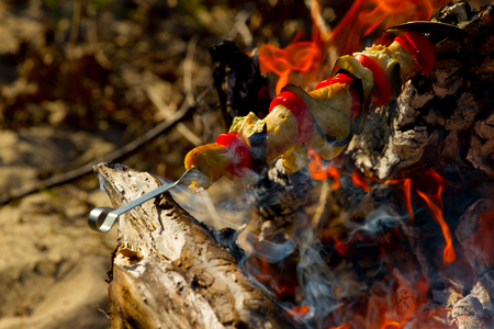 Grilled vegetables kebab in the open fire on the stickの写真素材