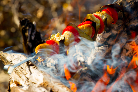 Grilled vegetables kebab in the open fire on the stickの写真素材