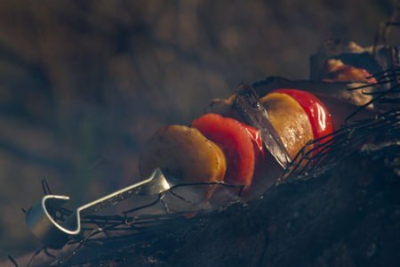 Roasted grilled tomato, eggplants at the stick on the open fireの写真素材