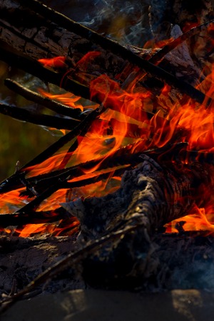 Close up of camp fire flames and fire, outdoor wood fireの写真素材