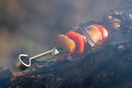Roasted grilled tomato, eggplants at the stick on the open fireplaceの写真素材