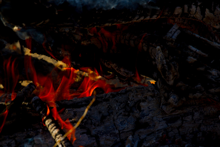 Close up of camp fire flames and fire, outdoor wood fireの写真素材
