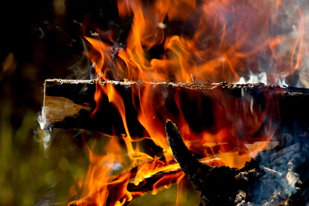 Close up of camp fire flames and fire, outdoor wood fireの写真素材