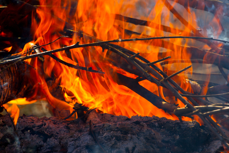 Close up of camp fire flames and fire, outdoor wood fireの写真素材