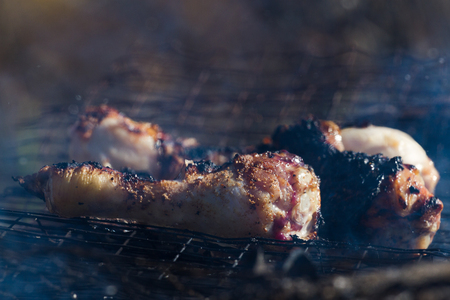 Summer chicken. Part legs grilled on picnic time. Roasted meatの写真素材