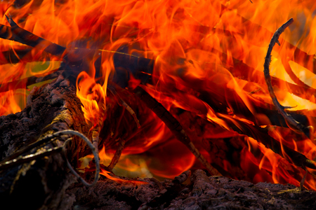 Close up of camp fire flames and fire, outdoor wood fireの写真素材