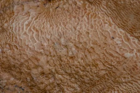 Travertine texture of abstract formation of mineral stone, traverten, Georgiaの写真素材