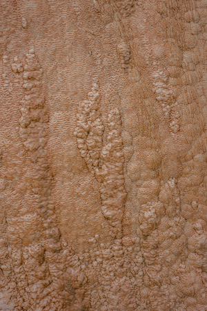 texture of abstract formation of mineral stone, traverten.の写真素材