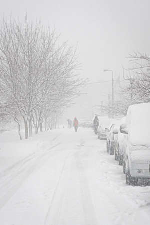 Cars parking under snow on the street. City storm. Vertical photo.の写真素材