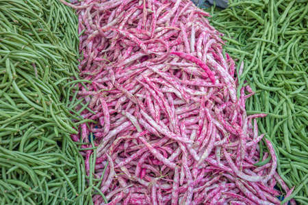 Fresh pink and green colored string beans background. Vegetarian food ingredients.の写真素材