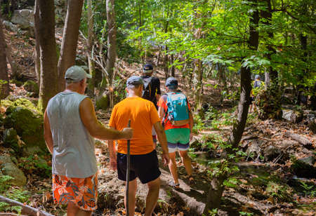 Group of man trekking in the sun forest. Retired activity.の写真素材