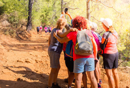 Group of old women making selfie smartphone during tracking in the sun forestの写真素材