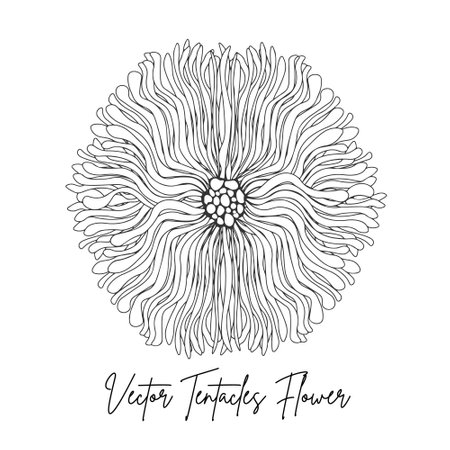 Vector Tentacles Flower Line art, Illustrationのイラスト素材