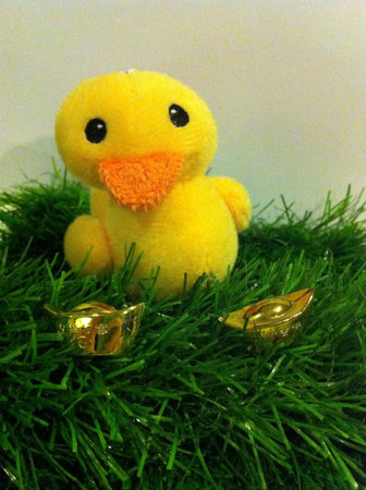Yellow toy duck with gold on the grassの素材
