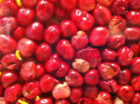 A close up shot of indian snackの素材