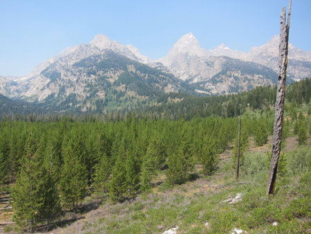 hiking trail at a national parkの写真素材